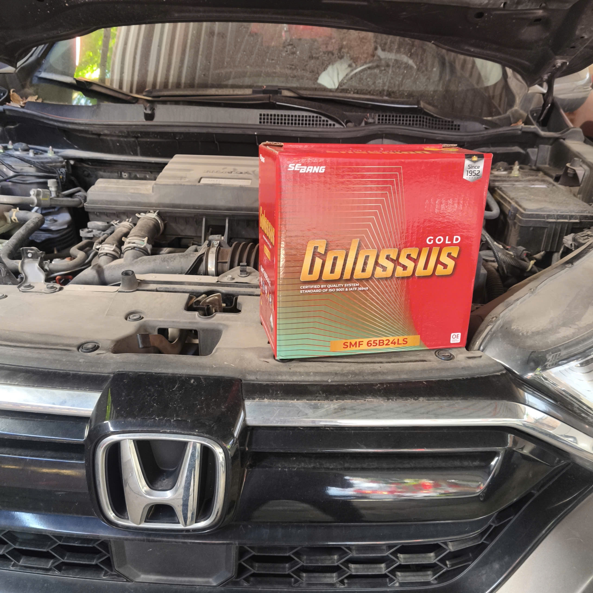 thay ắc quy colossus 50ah cho xe Honda