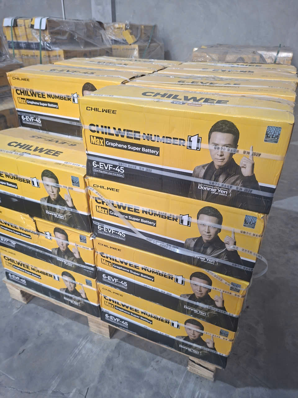 ắc quy xe điện Chilwee 45ah 