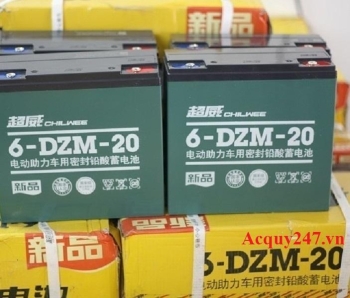 Bộ ắc quy xe điện Chilwee 48V-20Ah
