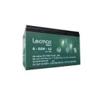 Ắc quy xe điện Lecmax