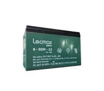 Ắc quy xe điện Lecmax