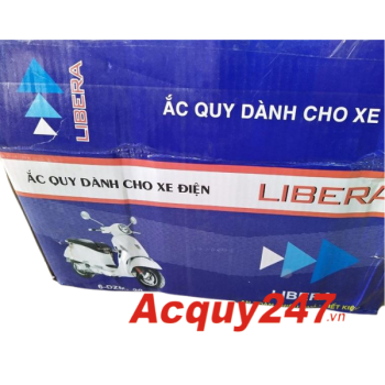 Bộ ắc quy xe điện Libera 60V-20Ah