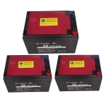 Bộ 3 bình ắc quy xe đạp điện Thiên Năng 36V