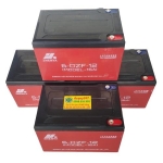 Bộ 4 bình ắc quy xe đạp điện Zhenya 48V